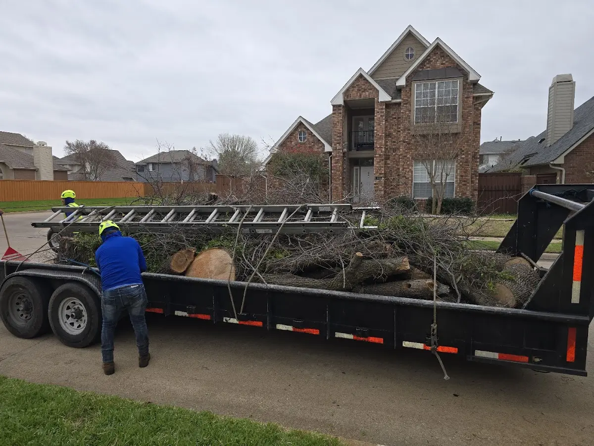 Expert Tree Fertilization with proper safety equipment in Alton Bay